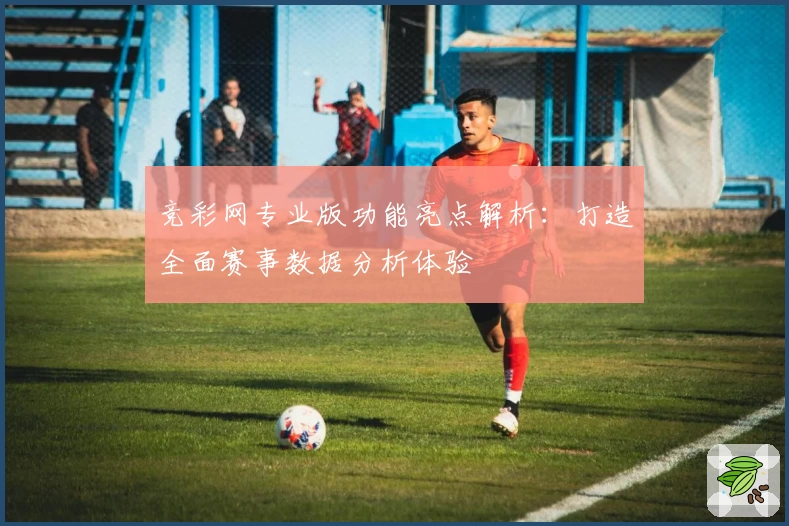 竞彩网专业版功能亮点解析：打造全面赛事数据分析体验