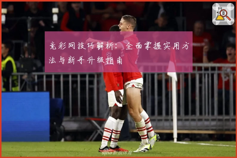 竞彩网技巧解析:全面掌握实用方法与新手升级指南
