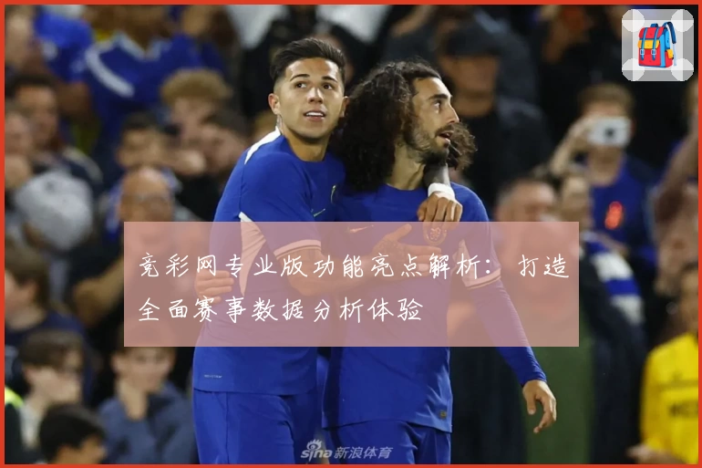 竞彩网专业版功能亮点解析:打造全面赛事数据分析体验