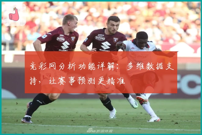 竞彩网分析功能详解:多维数据支持,让赛事预测更精准